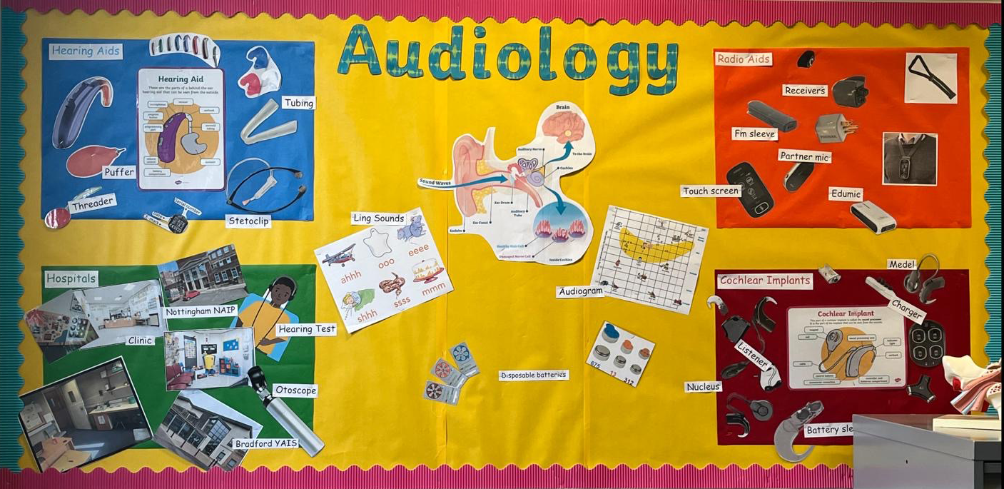 Audiology display